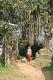 05 Margot dans la jungle