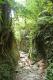 06 Petit chemin