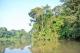 10 Amazonie 2