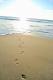14 Canoa