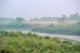 15 Savane