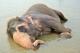 23 Sieste bain